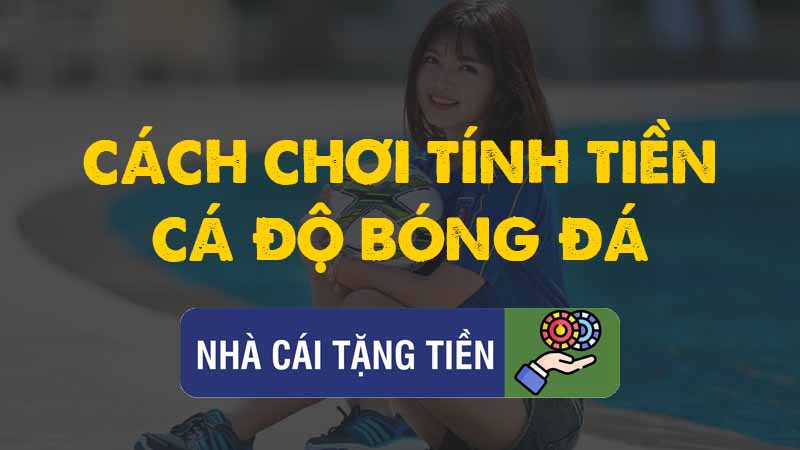 Cách tính tiền cá độ bóng đá đơn giản dễ hiểu bạn cần biết