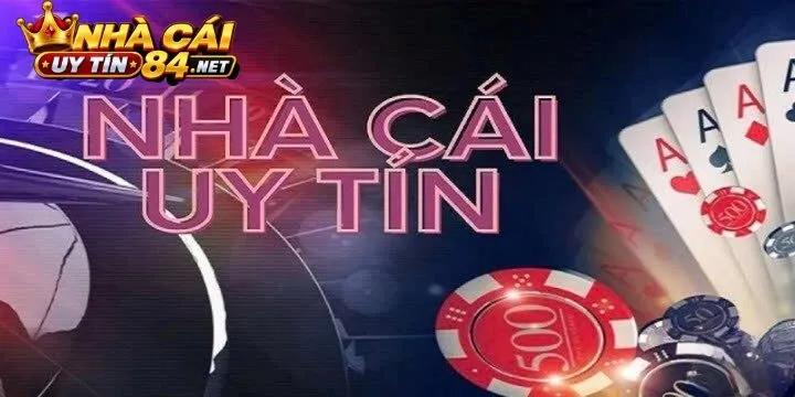 Phân Tích Các Thế Mạnh Cốt Lõi Giúp Zo88 Dẫn Đầu Thị Trường 